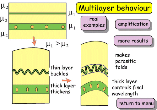 Multilayer behaviour