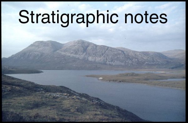 Stratigraphic Notes