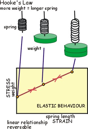 Hooke's Law