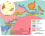 Rb-Sr deformation age data for the Entrelor Shear Zone.