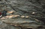 Looking south onto a vertical face of sheared calc schists.