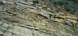 Slump bed in turbidites, Boltana, Spanish Pyrenees.
