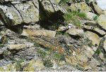 Slump fold in turbidites. Champsaur sandstone, French Alps.
