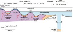 Regression model, Messinian evaporites.