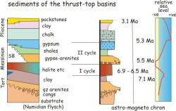 Neogene stratigraphy, Caltanissetta Basin, Sicily.