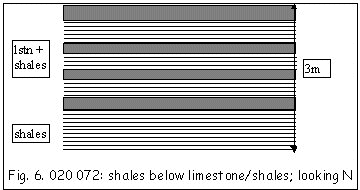 Shales below limestone/shales; looking N