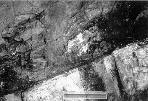 detail of contact